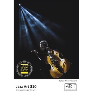 Jazz Art 310